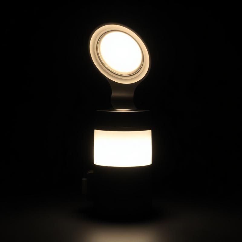 Hue Go Portable Light